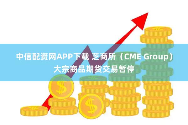 中信配资网APP下载 芝商所（CME Group）大宗商品期货交易暂停
